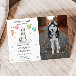 Husky Sibir Hund Pawty Puppy Birthday Rosa Photo Inbjudningar