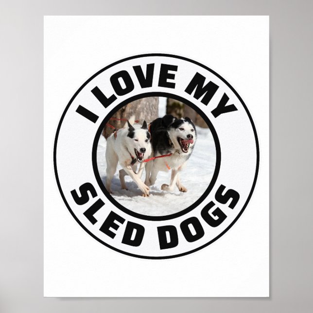 Husky Sledding Sled Hund Tävla Alaska Racers Poster (Framsidan)