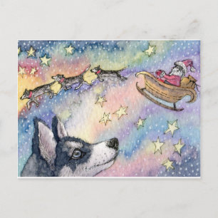 Husky Sleigh Hundar Vykort