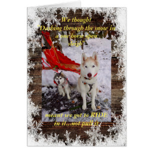 Husky sleigh ride hälsningskort