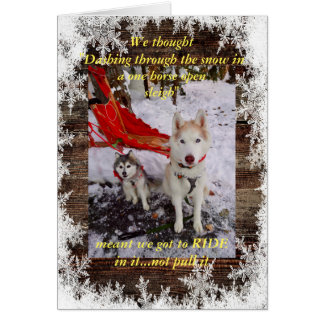 Husky sleigh ride hälsningskort