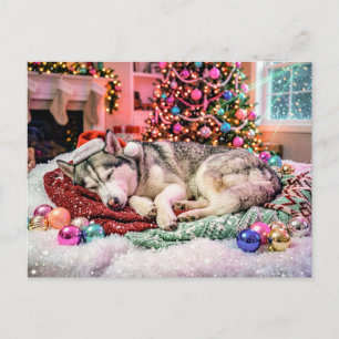 Husky som sover i mysig julscen vykort