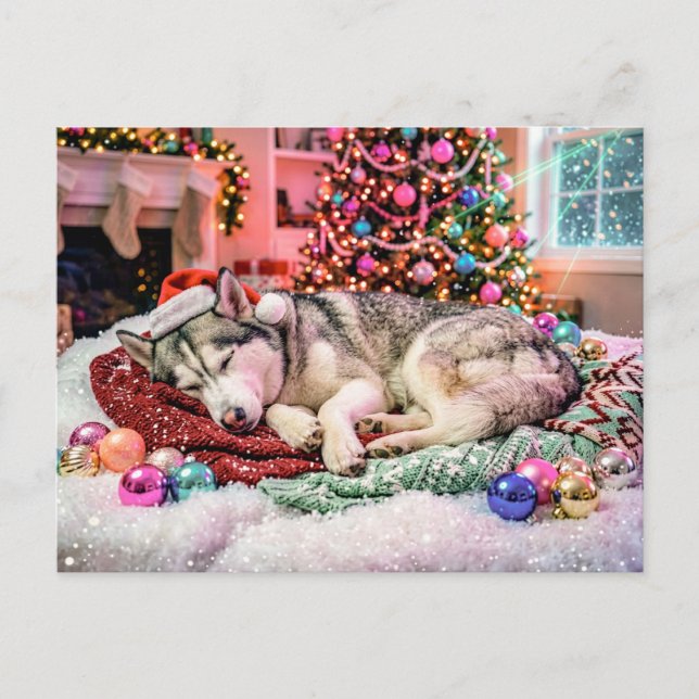 Husky som sover i mysig julscen vykort (Framsida)