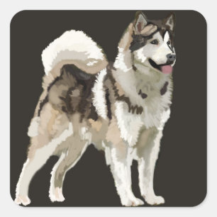 Husky Sticker Fyrkantigt Klistermärke