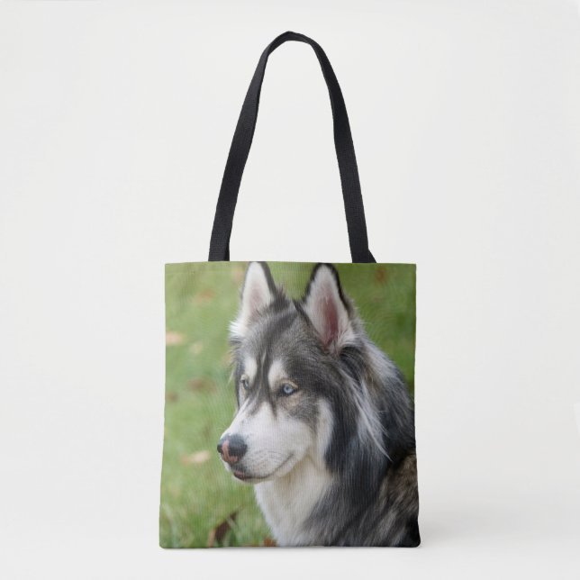 Husky Tygkasse (Framsida)