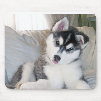 Husky valp Mousepad Musmatta