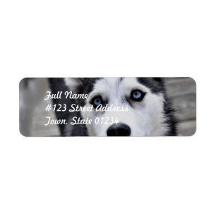 Husky valpbrevskickandeetiketter returadress etikett