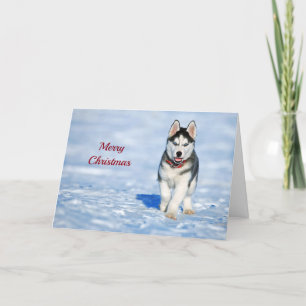 Husky valpjul helgkort