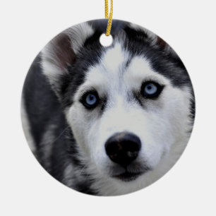 Husky valpprydnad julgransprydnad keramik