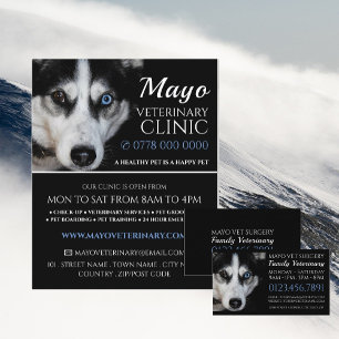 Husky, veterinär, veterinärtjänst visitkort