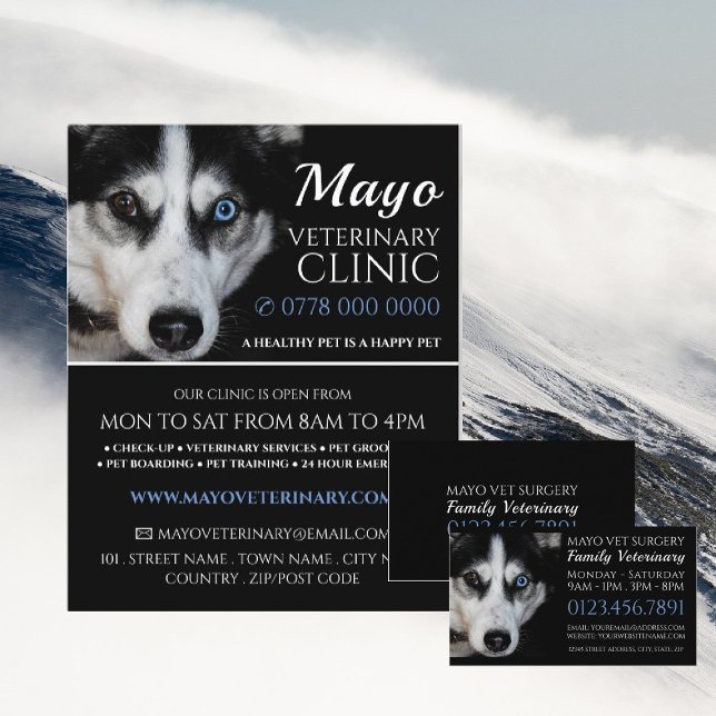 Husky, veterinär, veterinärtjänst visitkort (Skapare uppladdad)