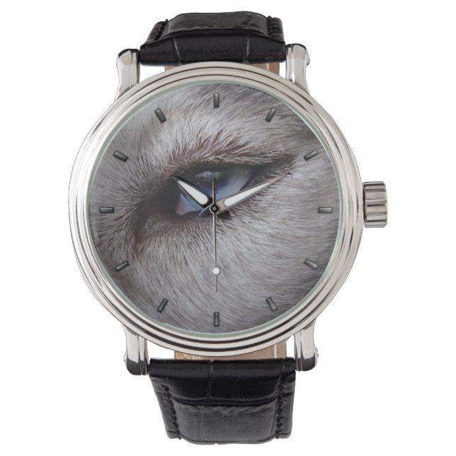 Husky Watch Siberian husky Malamute Wrist Watch Armbandsur (Framsida)