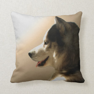 Huskyen kudder siberian husky som malamuten kudder kudde