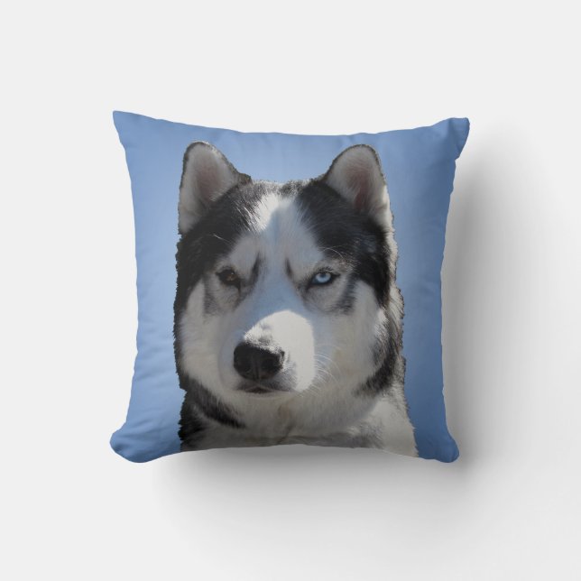 Huskyen kudder siberian husky som malamuten kudder kudde (Framsida)
