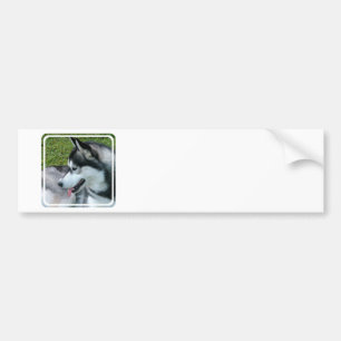 Huskyen profilerar bildekalet bildekal
