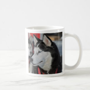 Huskyhund före ett lopp, Kanada Kaffemugg
