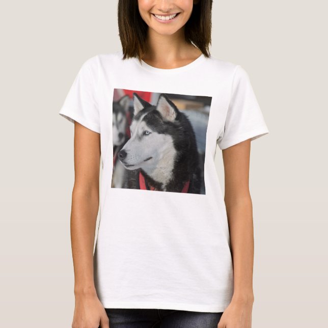 Huskyhund före ett lopp, Kanada T Shirt (Framsida)