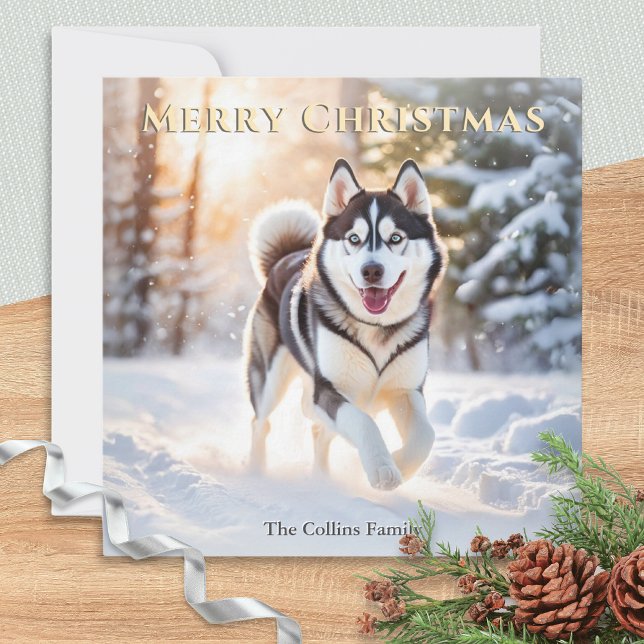 Huskyhund i vintersnö God Jul Julkort (An elegant Christmas card with picture of a Husky dog in the winter snow)