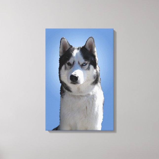 Huskytryck Sträckt Husky Malamute Hundduk Canvastryck (Framsida)