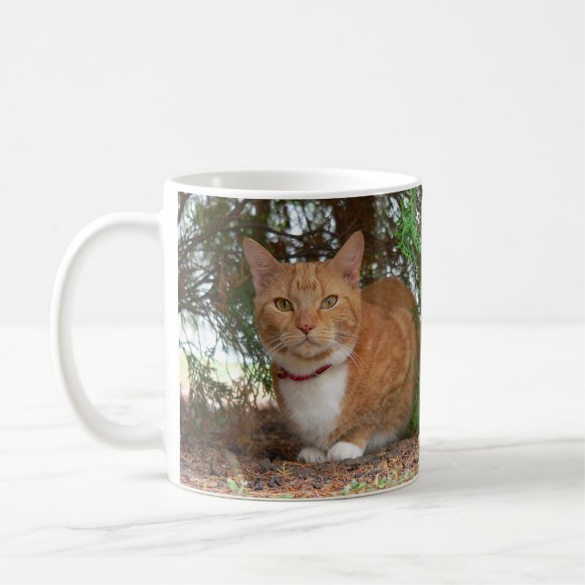 Huslig orange ginger tabby katt kaffemugg (Vänster)