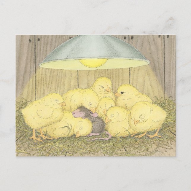 Husmuskonstruktion® - postkort vykort (Framsida)