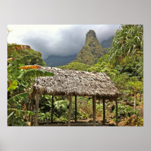Hut i Iao Valley State Park, Maui, Hawaii Poster