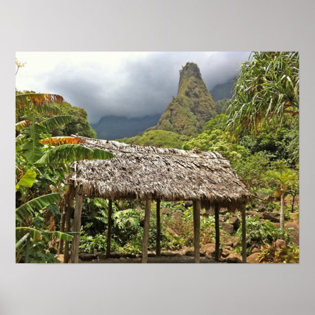 Hut i Iao Valley State Park, Maui, Hawaii Poster (Framsidan)