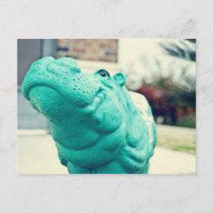 Hutto Hippo! Vykort