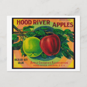 Huva River Apple Låda LabelHood River, ELLER Vykort