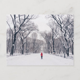 Huvan Modern Little Red Riding i Central Park Vykort