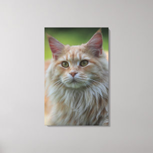 Huvuckkatt Canvastryck