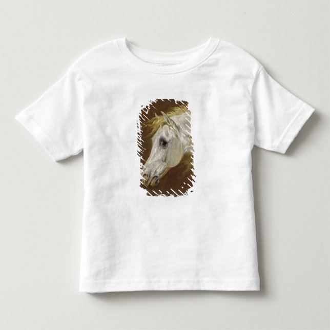 Huvud av en arabisk häst för grå färg (olja på tee shirt (Framsida)