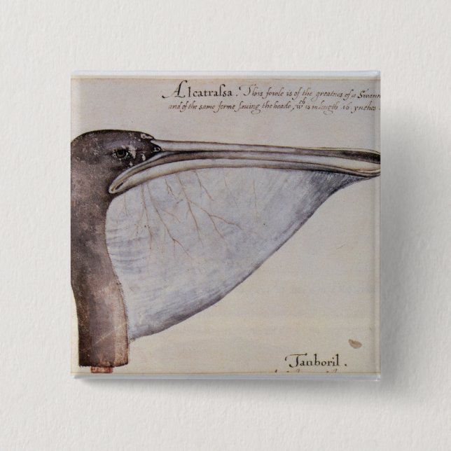 Huvud av en brun pelikan knapp (Framsida)