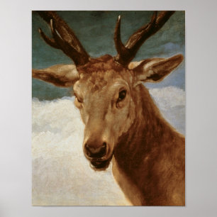 Huvud av en fullvuxen hankronhjort, 1634 poster