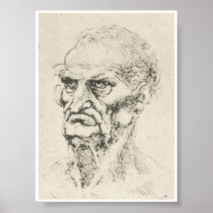 Huvud av en gamal man, Leonardo Da Vinci Poster
