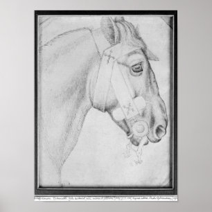 Huvud av en häst, från det Vallardi album Poster