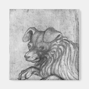 Huvud av en hund, från det Vallardi album Magnet