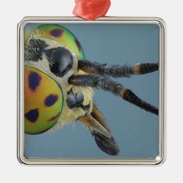 Huvud av hjortflugan julgransprydnad metall (Framsidan)