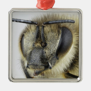 Huvud av honeybeen julgransprydnad metall