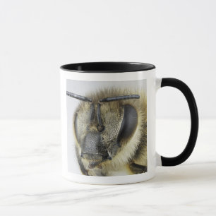 Huvud av honeybeen mugg