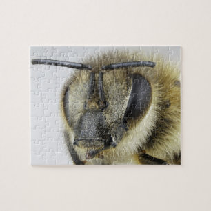 Huvud av honeybeen pussel