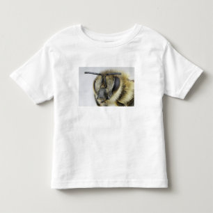 Huvud av honeybeen t shirt