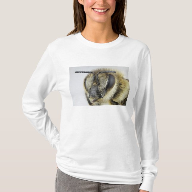 Huvud av honeybeen t shirt (Framsida)