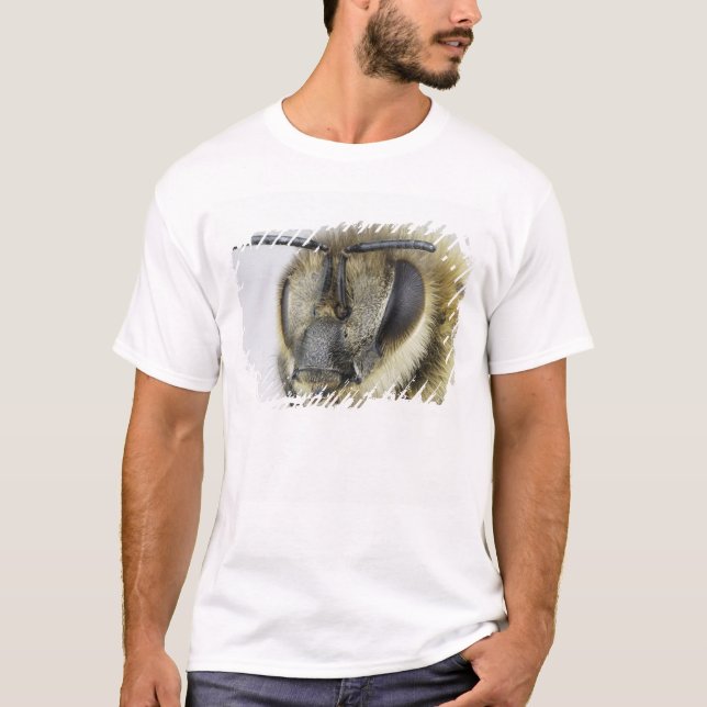 Huvud av honeybeen tee (Framsida)