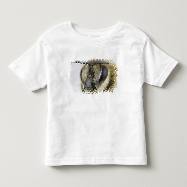 Huvud av honeybeen tee (Framsida)