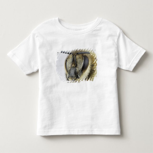 Huvud av honeybeen tee shirt (Framsida)