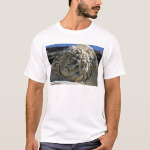 Huvud av medusaen t-shirt