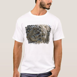 Huvud av medusaen tee shirt
