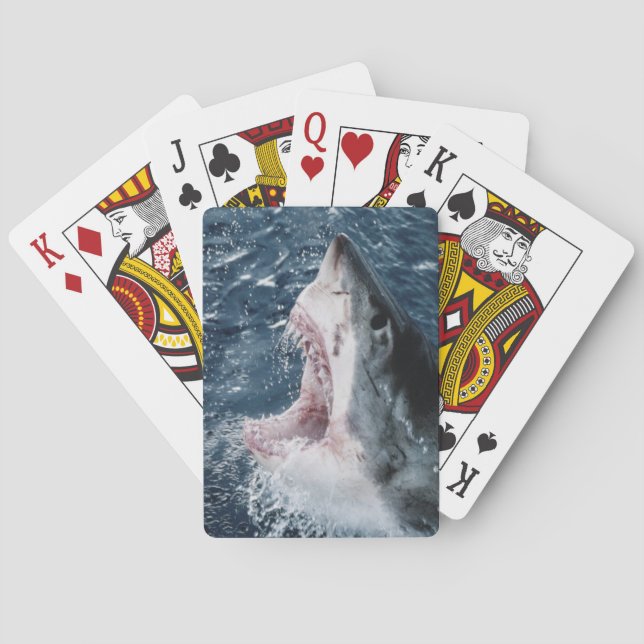 Huvud av vit haj casinokort (Baksidan)