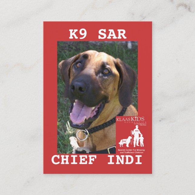 huvud-chefen KlassKids sökandelag LÄMNADE (Framsida)